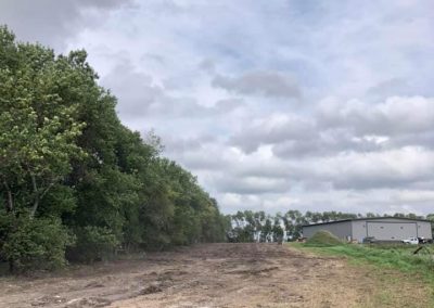 Removal of 3 tree rows in farmstead for replanting in 2020.