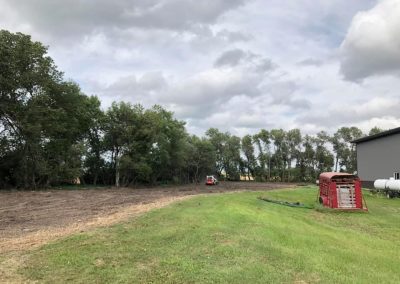 Removal of 3 tree rows in farmstead for replanting in 2020.