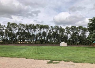 Removal of 3 tree rows in farmstead for replanting in 2020.