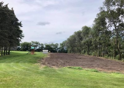 Removal of 3 tree rows in farmstead for replanting in 2020.