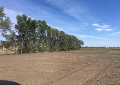 Removed 3 rows around farmstead in 2018. Replanted in spring of 2019.