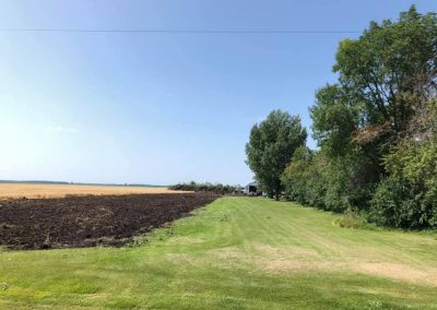 Removal of 3 rows on 3 sides of farmstead for replanting in 2020.