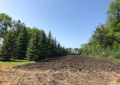 Removal of 3 rows on 3 sides of farmstead for replanting in 2020.