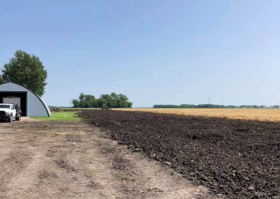 Removal of 3 rows on 3 sides of farmstead for replanting in 2020.